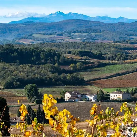 Charme Au Coeur Des Vignes Holiday home