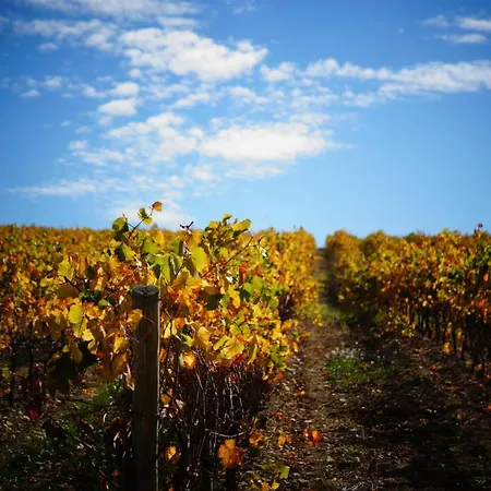 Holiday home Charme Au Coeur Des Vignes Malras