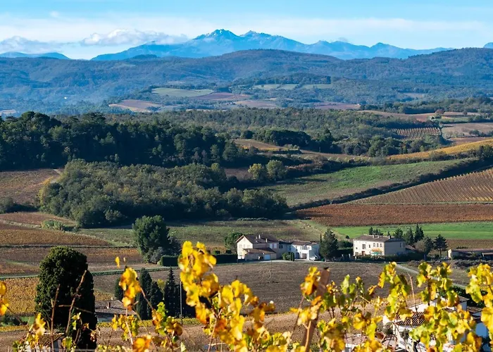 Charme Au Cœur Des Vignes Hébergement de vacances